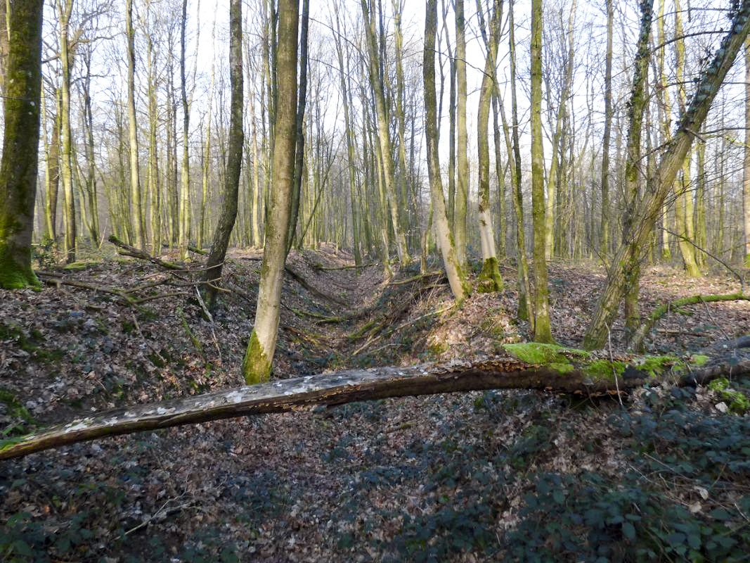 Ligne Maginot - A2 - MACQUENOISE NORD - (Blockhaus pour canon) - 