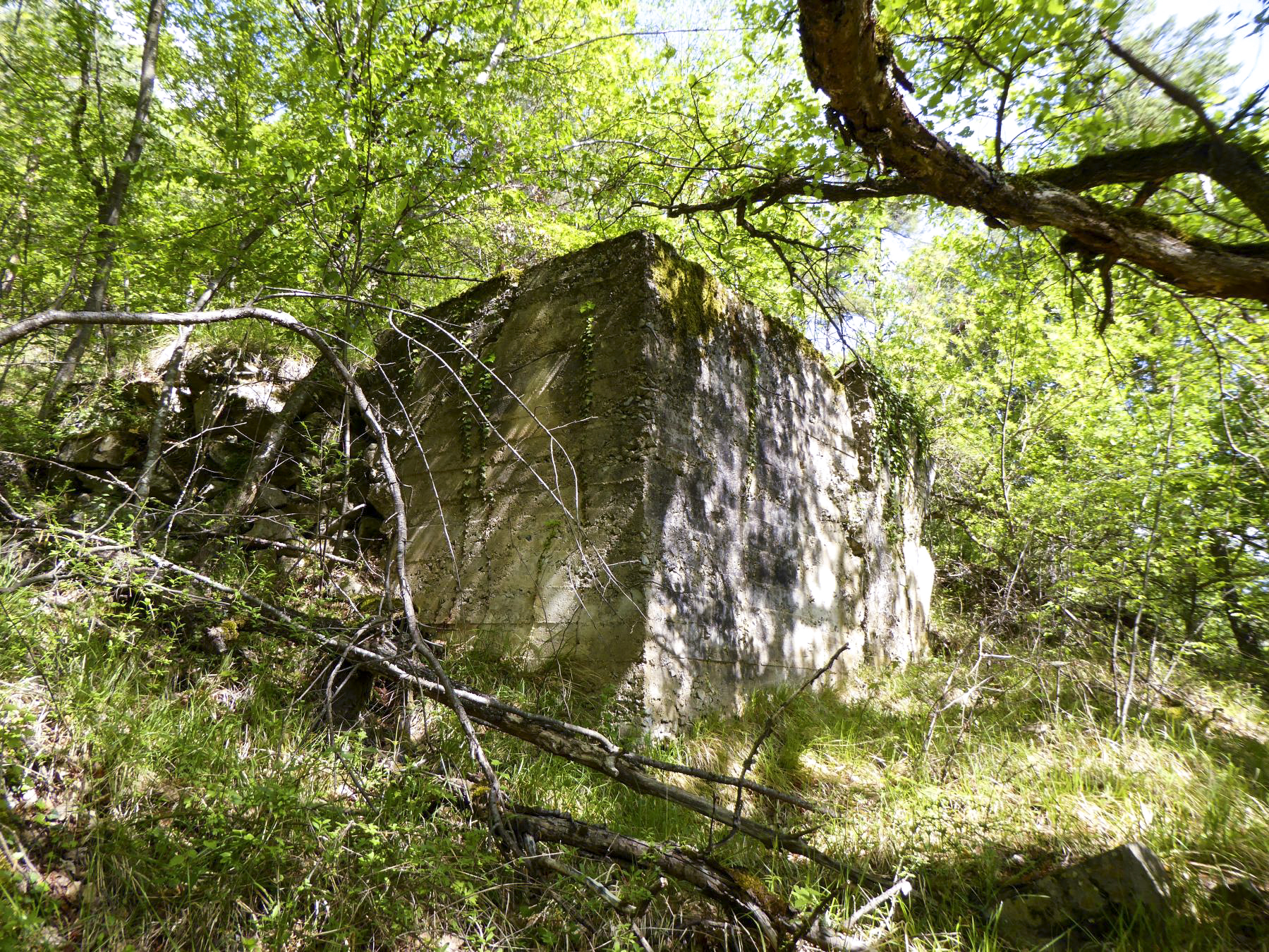 Ligne Maginot - GORDOLON (GN) - (Ouvrage d'artillerie) - Elément probable de chantier de construction, au dessus du bloc 2