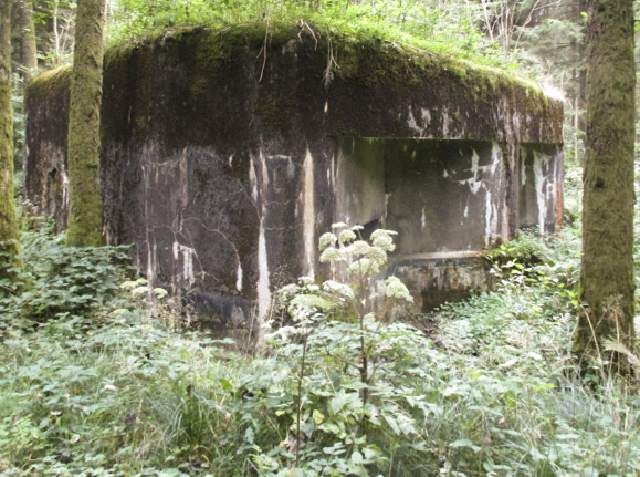Ligne Maginot - A5 - LE DEBOUCHE - (Blockhaus pour canon) - 