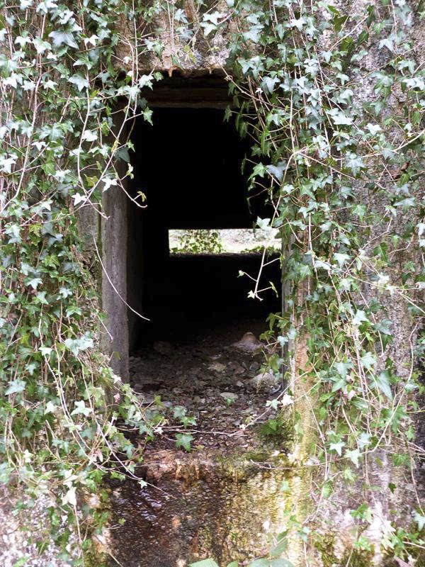 Ligne Maginot - A7 - LE MAMELON OUEST - (Blockhaus pour canon) - 