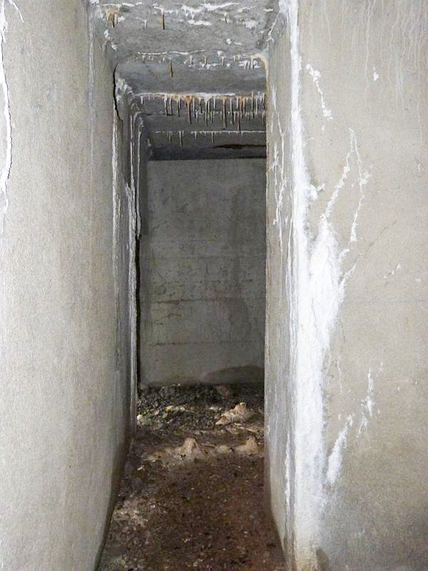 Ligne Maginot - A7 - LE MAMELON OUEST - (Blockhaus pour canon) - 