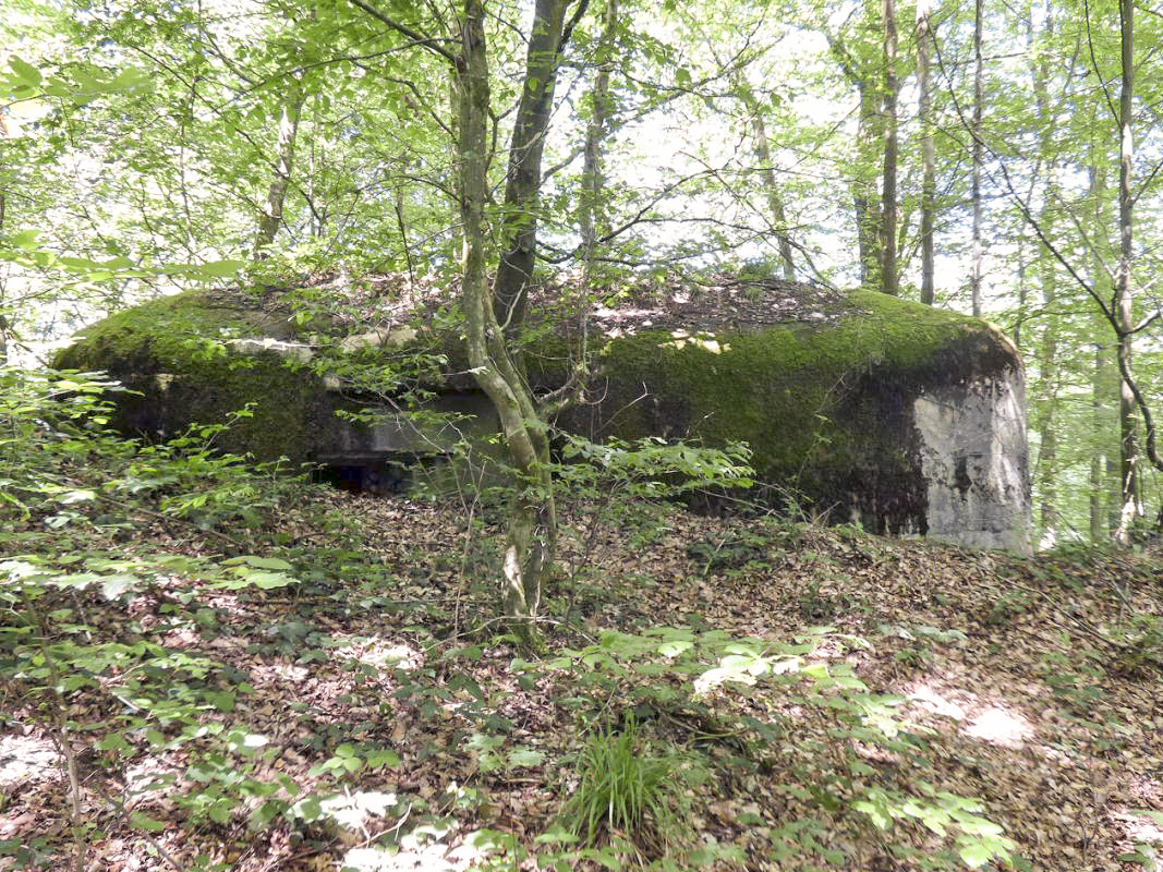Ligne Maginot - BA6 - LA LOBIETTE - (Blockhaus pour canon) - 