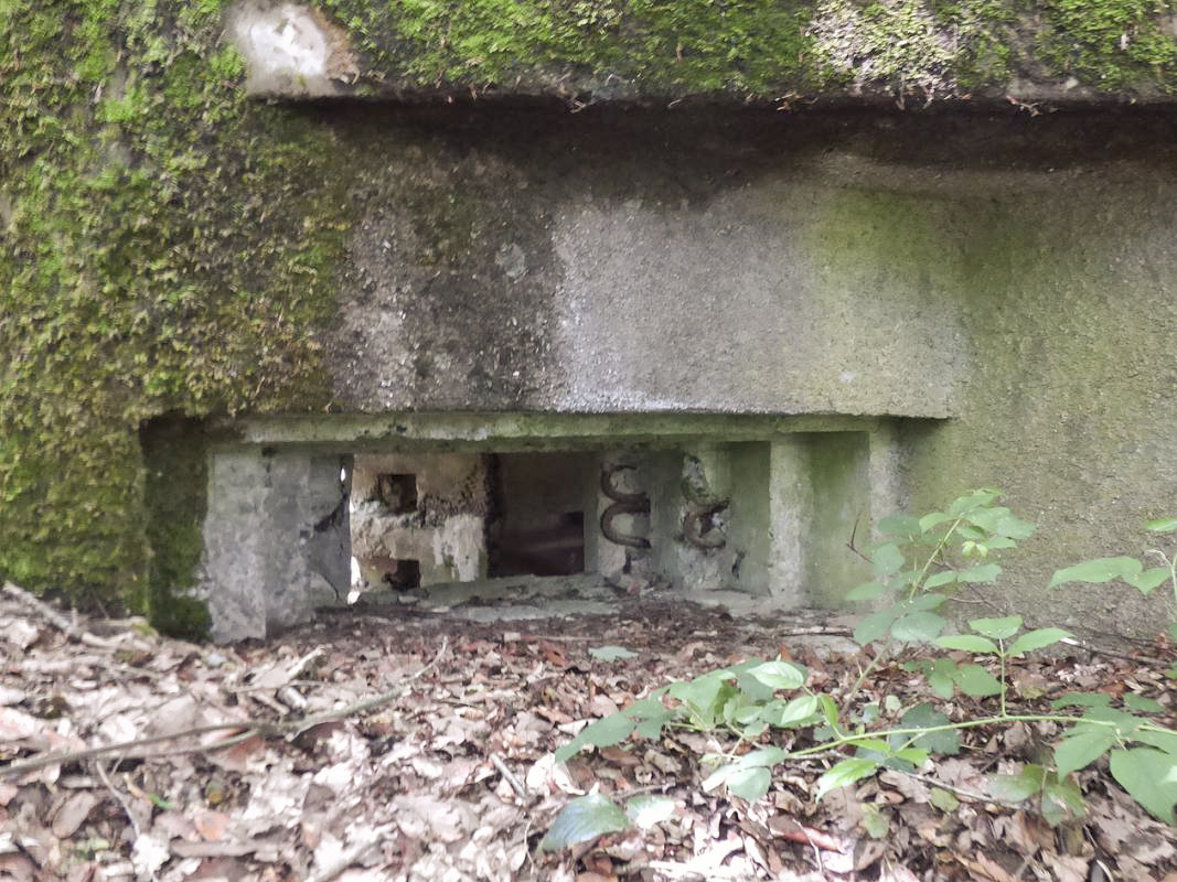 Ligne Maginot - BA6 - LA LOBIETTE - (Blockhaus pour canon) - 