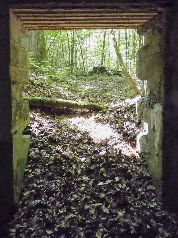 Ligne Maginot - BA6 - LA LOBIETTE - (Blockhaus pour canon) - 