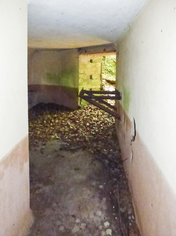 Ligne Maginot - BA6 - LA LOBIETTE - (Blockhaus pour canon) - 