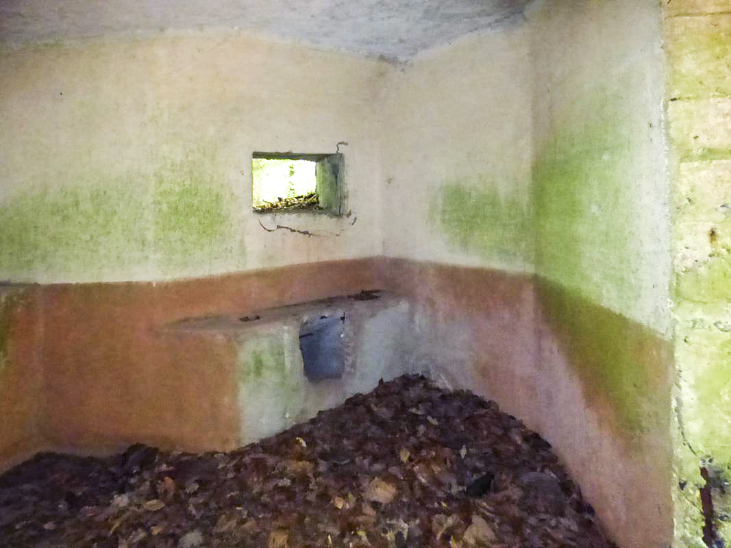 Ligne Maginot - BA6 - LA LOBIETTE - (Blockhaus pour canon) - 