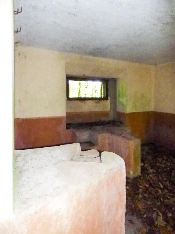 Ligne Maginot - BA6 - LA LOBIETTE - (Blockhaus pour canon) - 