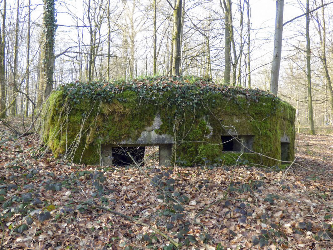 Ligne Maginot - BA7 - LE GLACIS NORD - (Blockhaus pour arme infanterie) - 