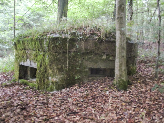 Ligne Maginot - BA7 - LE GLACIS NORD - (Blockhaus pour arme infanterie) -  - Randonneur62