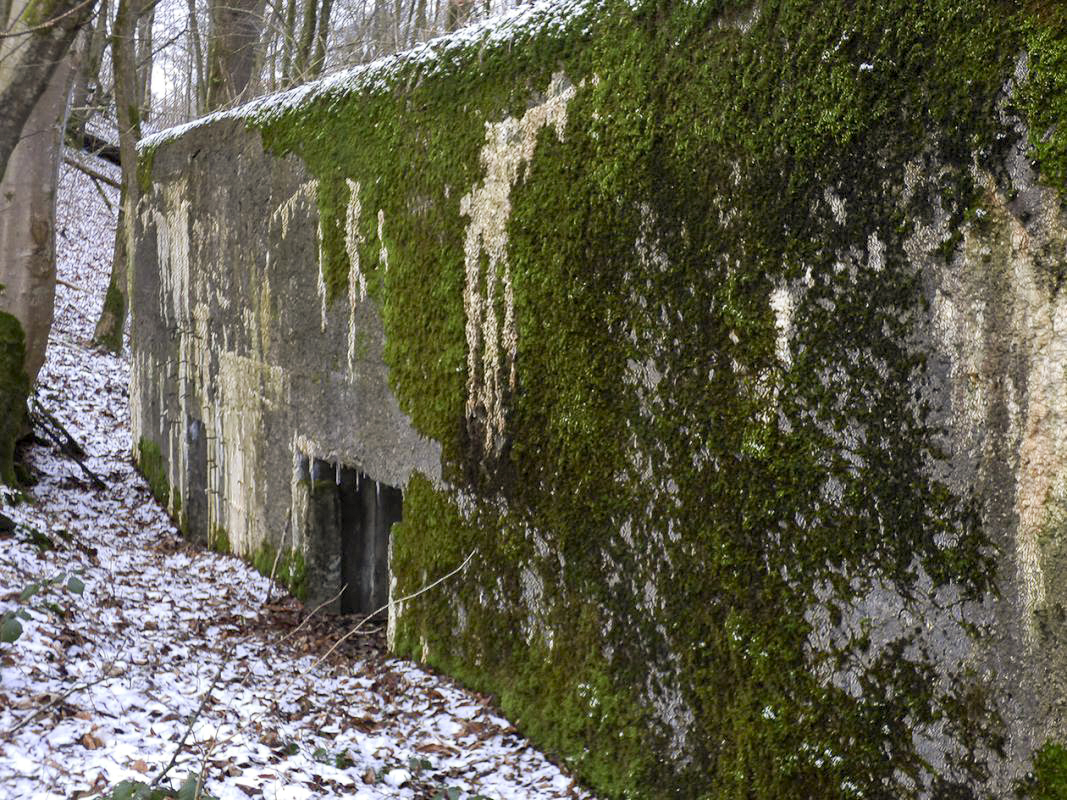 Ligne Maginot - LE GLACIS BAS - (Blockhaus pour canon) - 