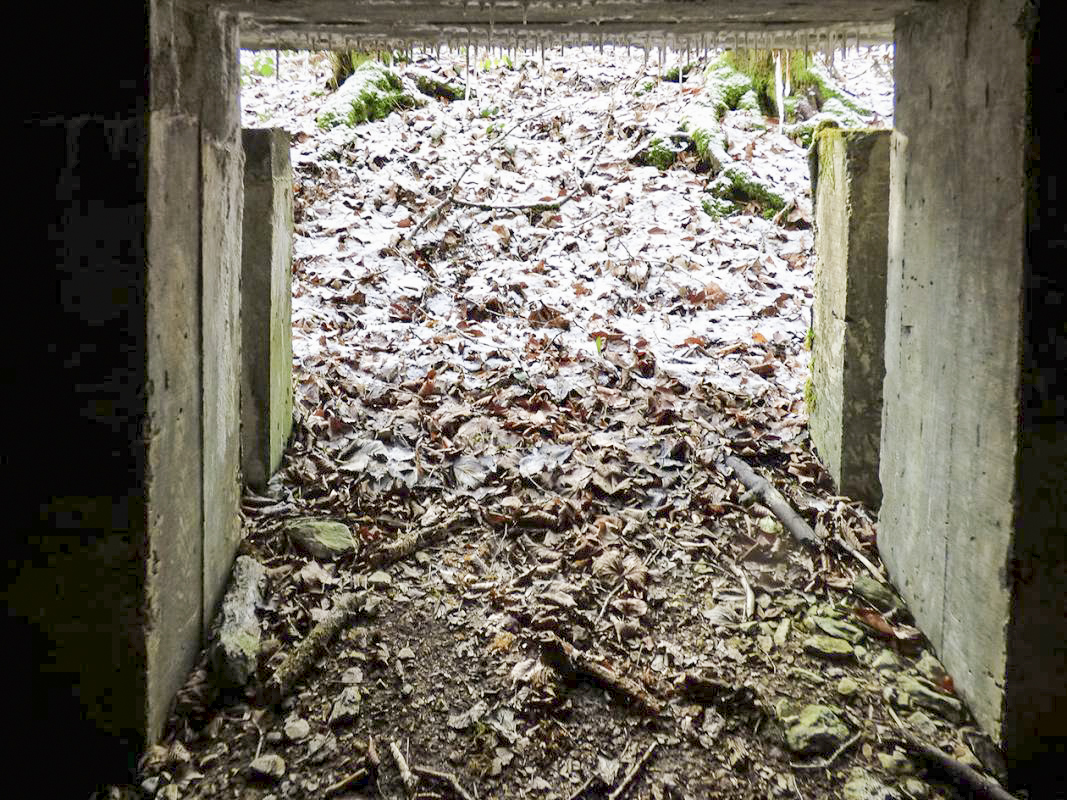 Ligne Maginot - LE GLACIS BAS - (Blockhaus pour canon) - 