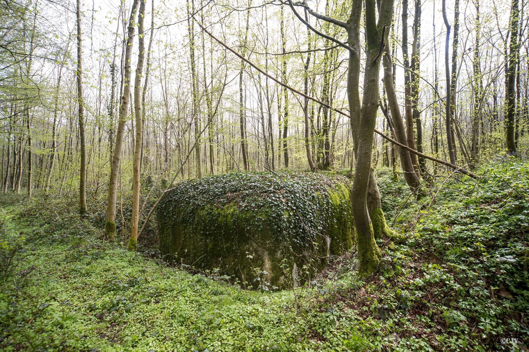 Ligne Maginot - BA15 - CANTINE SUD - (Chambre de coupure) -  - Lia VERMEULEN