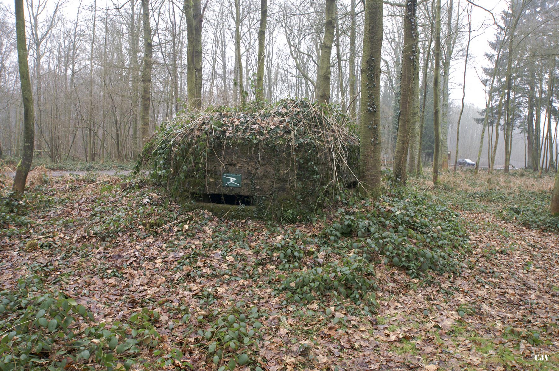 Ligne Maginot - BA14 - LA CANTINE NORD - (Blockhaus pour canon) - 