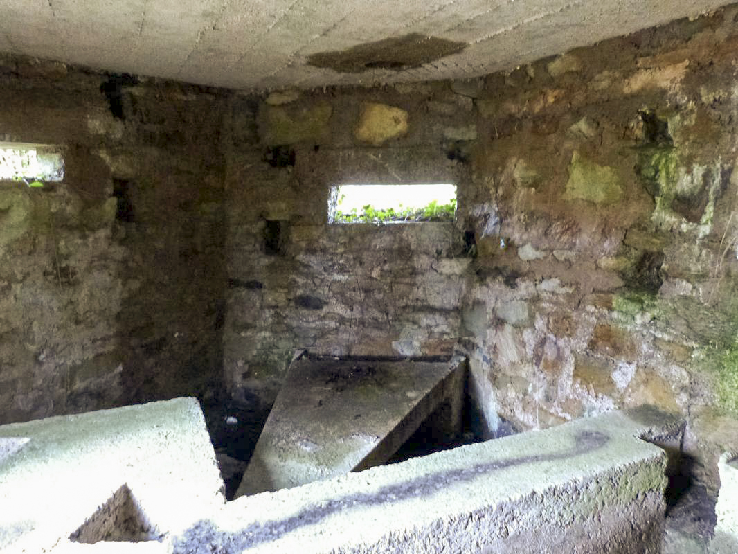 Ligne Maginot - BA14 - LA CANTINE NORD - (Blockhaus pour canon) - 