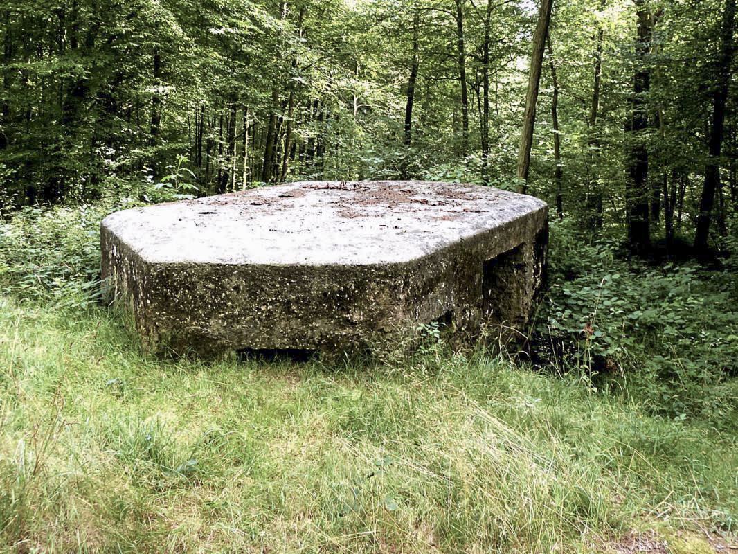 Ligne Maginot - Ba17 - CARREFOUR ALEXANDRE (Blockhaus pour canon) - 