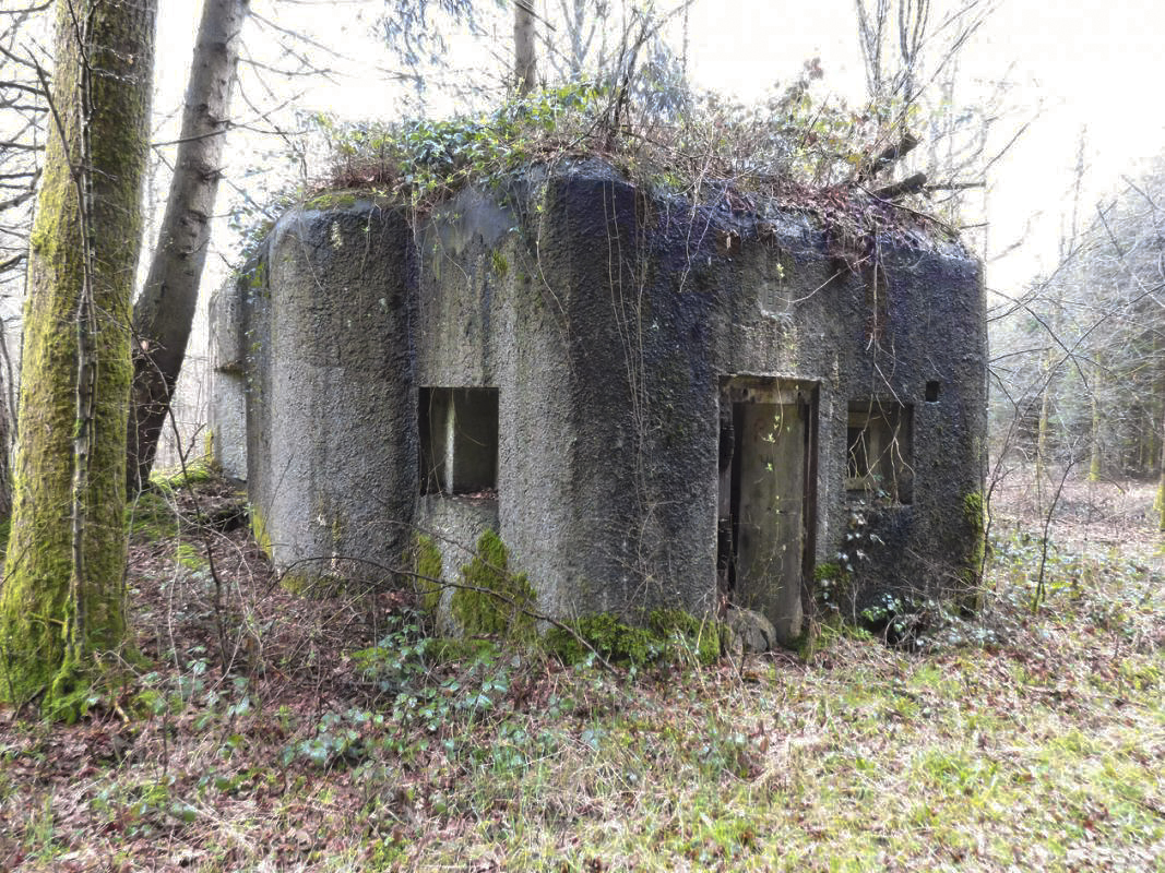 Ligne Maginot - B760 - CARREFOUR GRAMMONT - (Blockhaus pour canon) - 