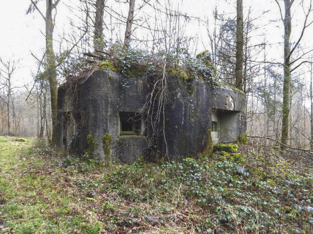 Ligne Maginot - B760 - CARREFOUR GRAMMONT - (Blockhaus pour canon) - 