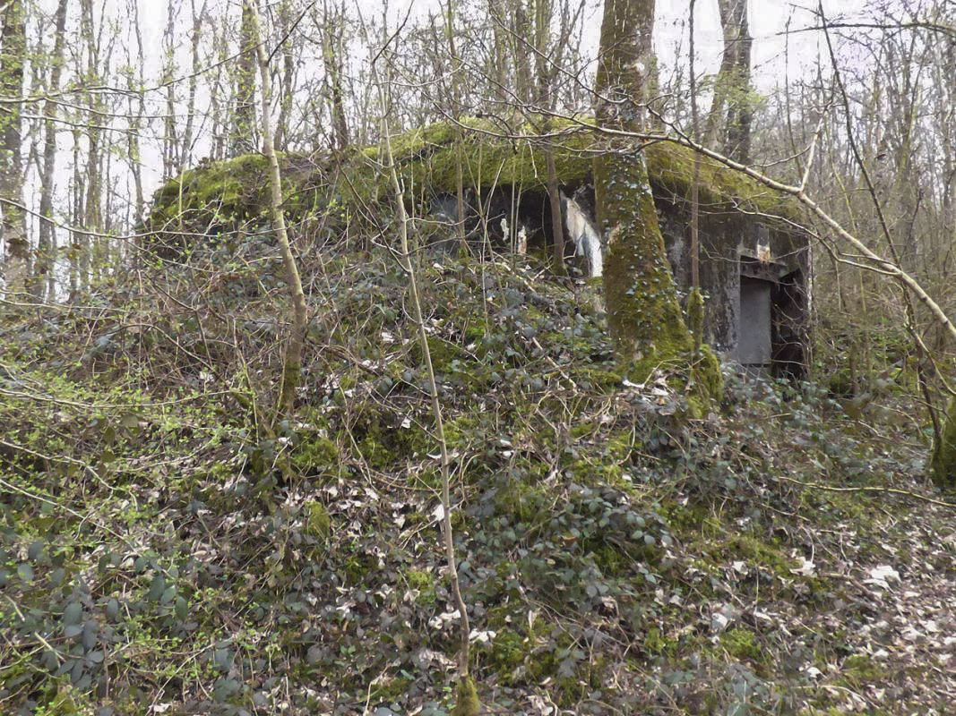 Ligne Maginot - B769 - ETANG DE LA FOLIE SUD - (Blockhaus pour canon) -  - JMBrams