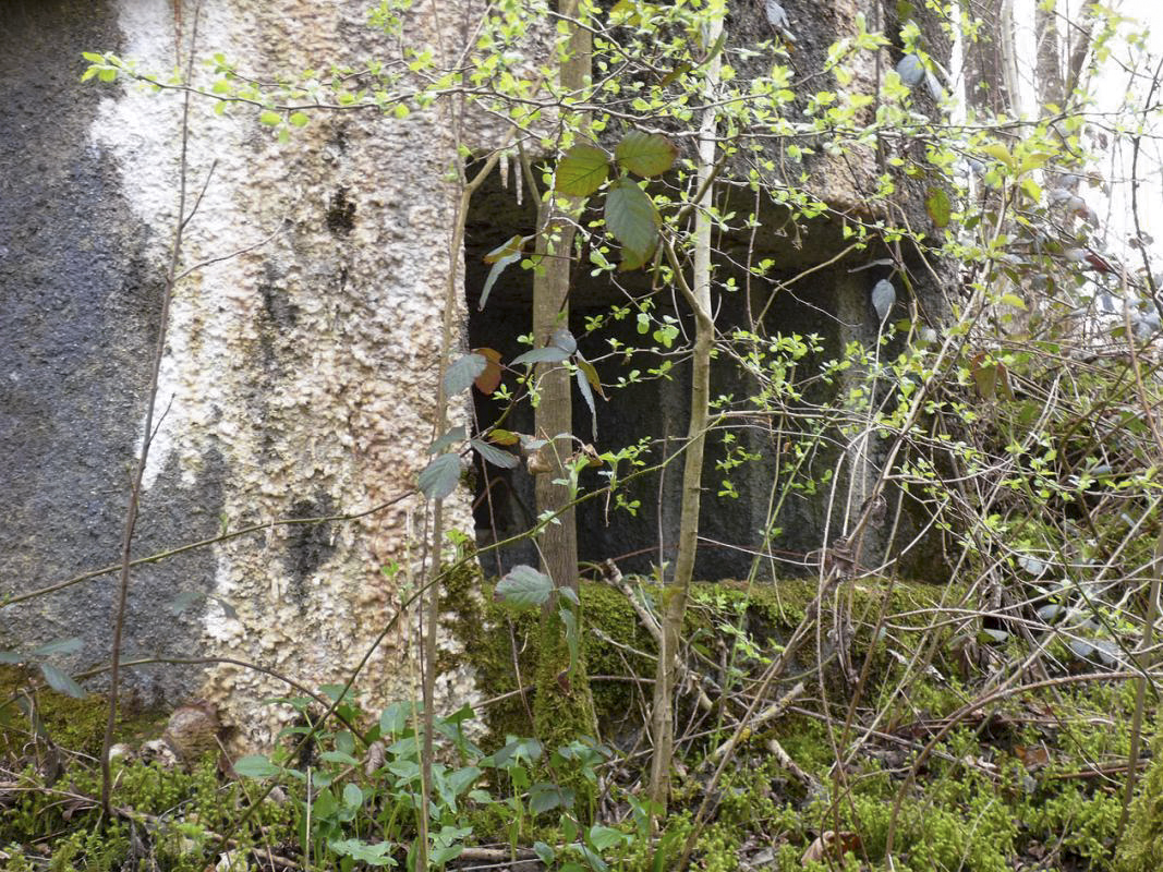 Ligne Maginot - B769 - ETANG DE LA FOLIE SUD - (Blockhaus pour canon) -  - JMBrams