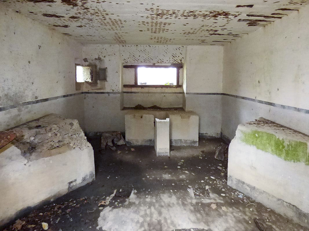 Ligne Maginot - B769 - ETANG DE LA FOLIE SUD - (Blockhaus pour canon) -  - JMBrams