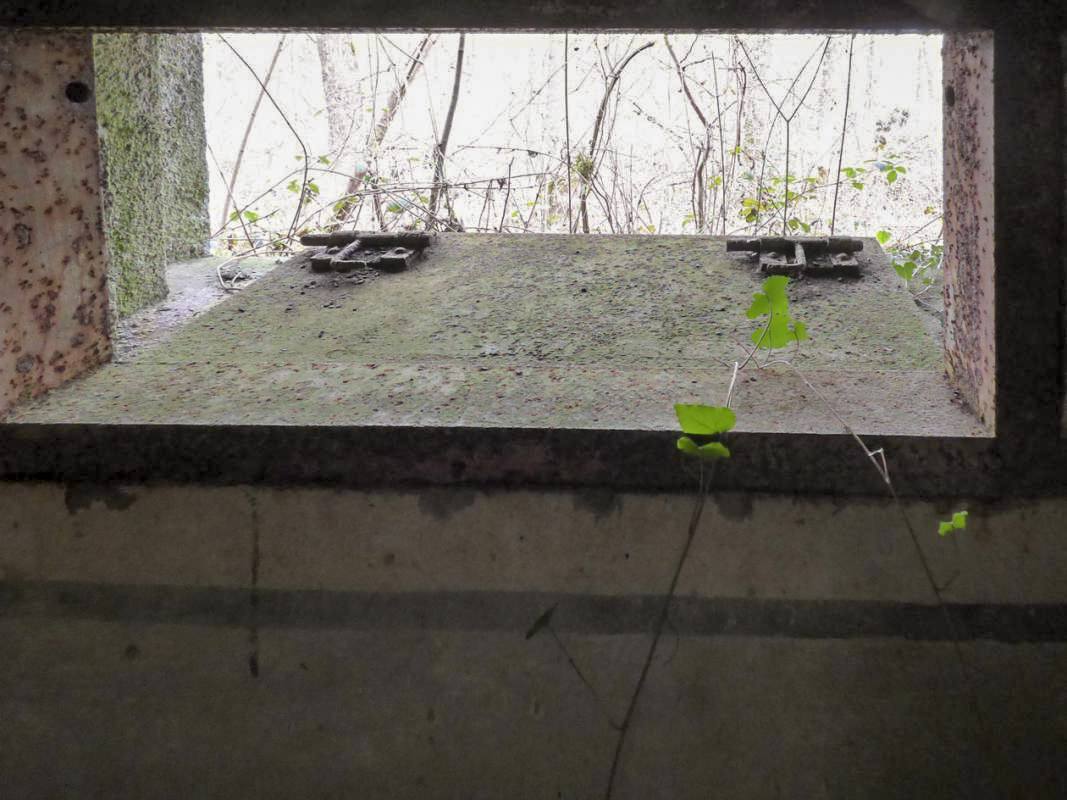 Ligne Maginot - B769 - ETANG DE LA FOLIE SUD - (Blockhaus pour canon) -  - JMBrams