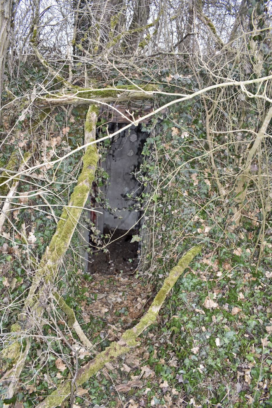 Ligne Maginot - LANGER ZUG 1 - (Abri) - Entrée Nord