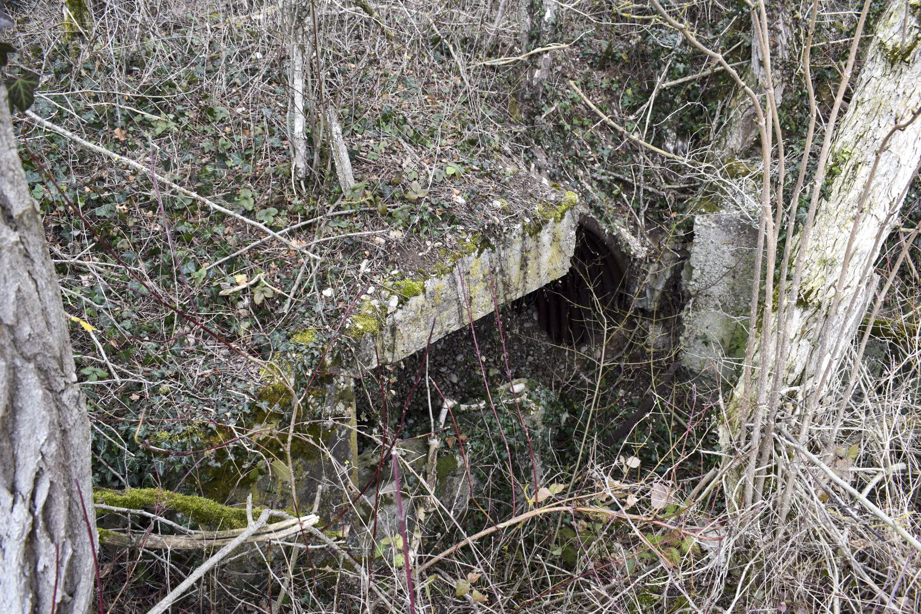 Ligne Maginot - LANGER ZUG 3 - (Abri) - Entrée éffondrée