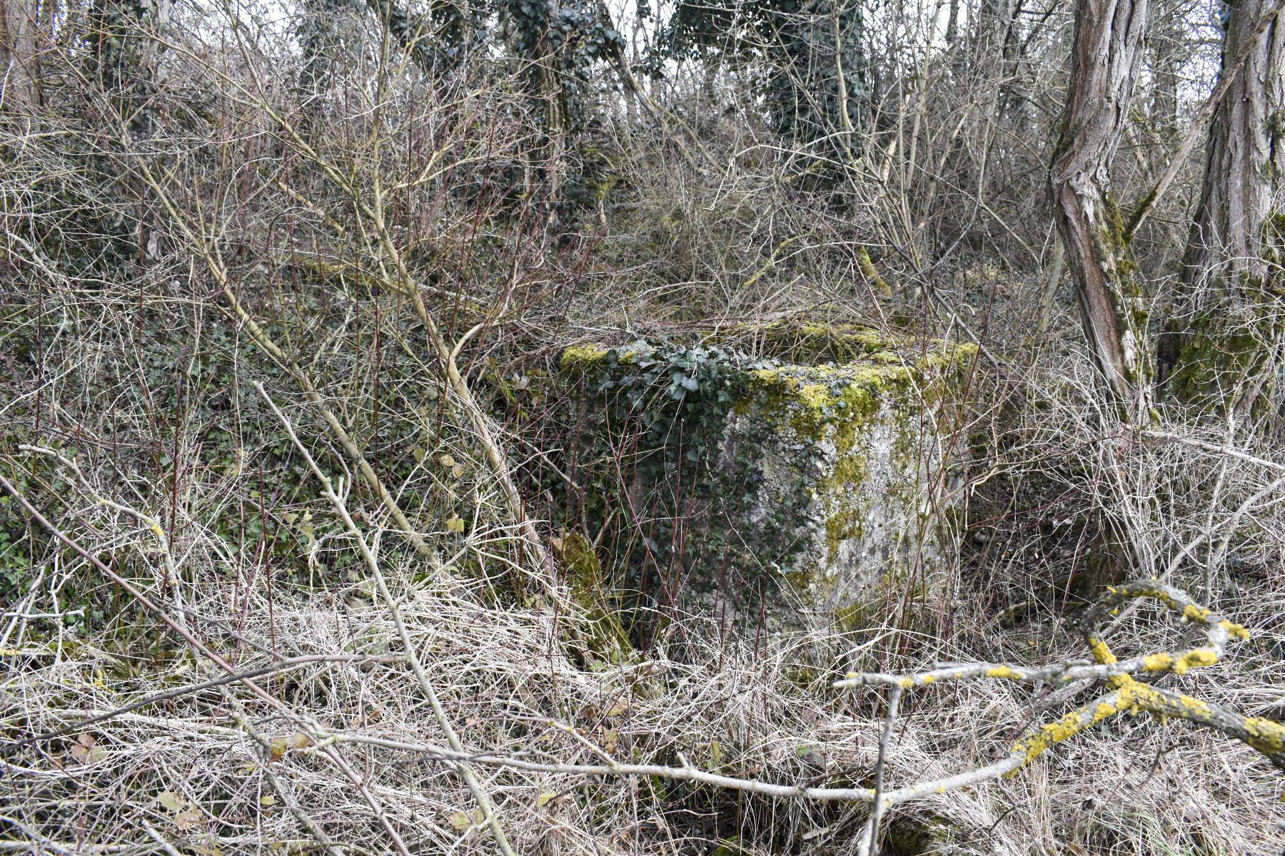 Ligne Maginot - LANGER ZUG 3 - (Abri) - Puits
