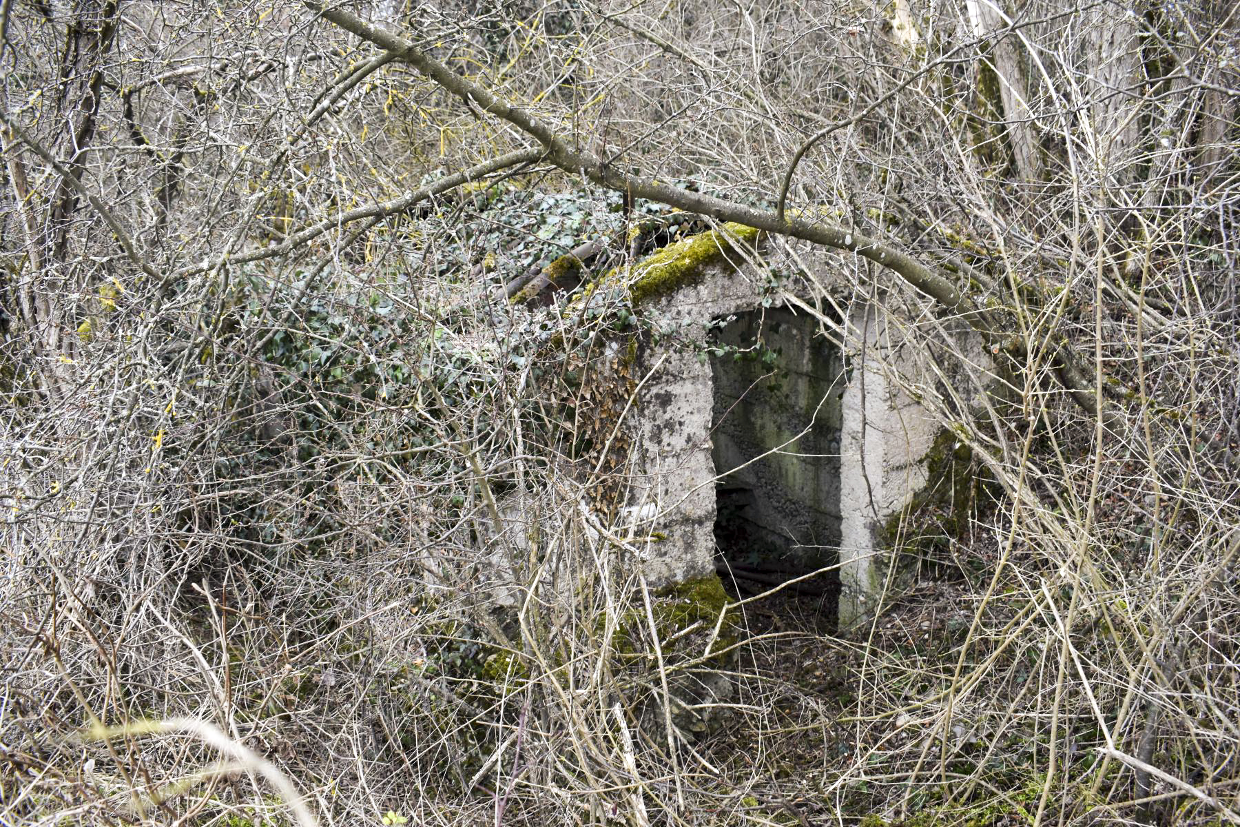 Ligne Maginot - LANGER ZUG 4 - (Abri) - Entrée sud de l'abri