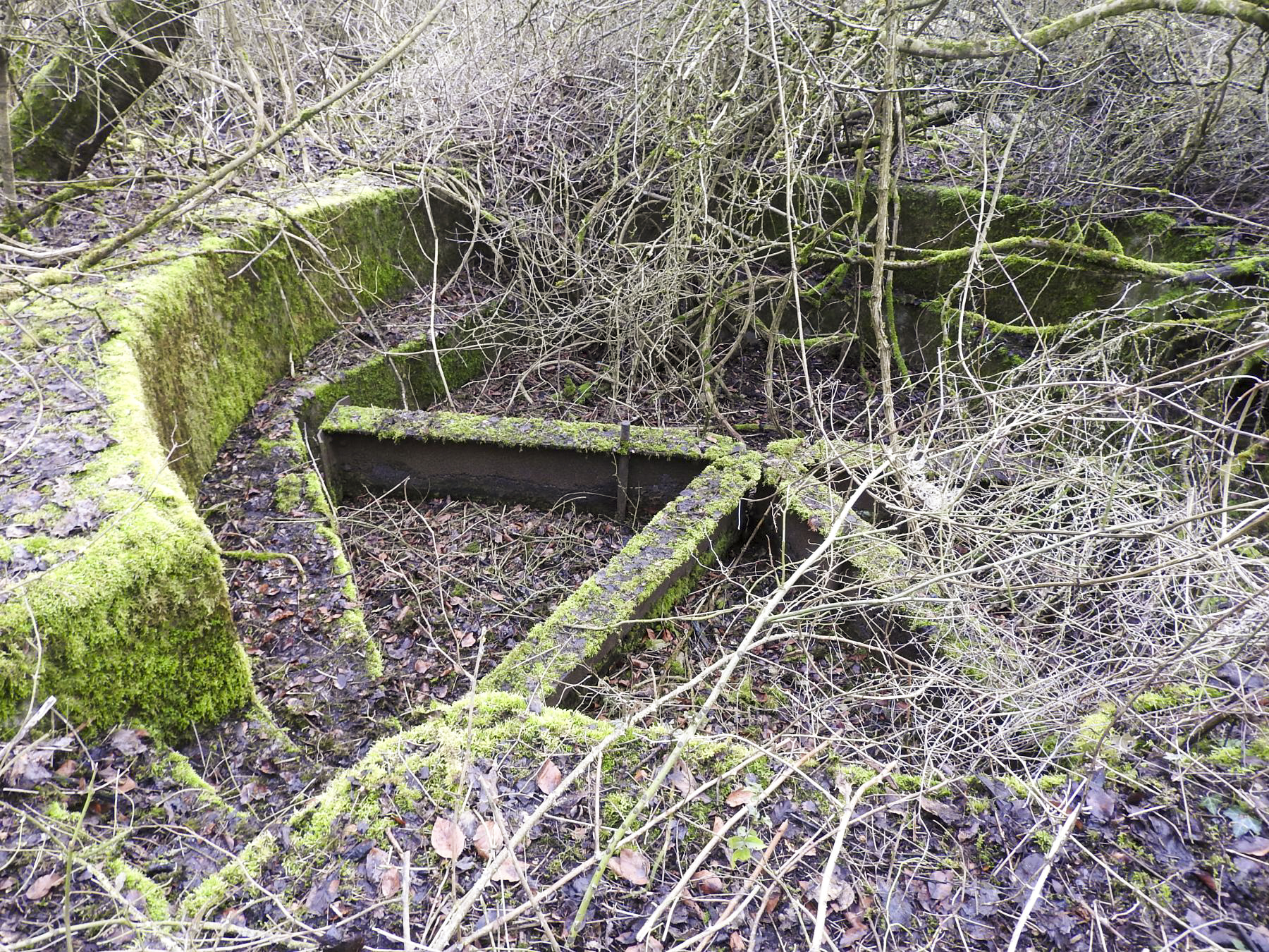 Ligne Maginot - AC6 - (Cuve pour canon) - La cuve envahie par la broussaille.