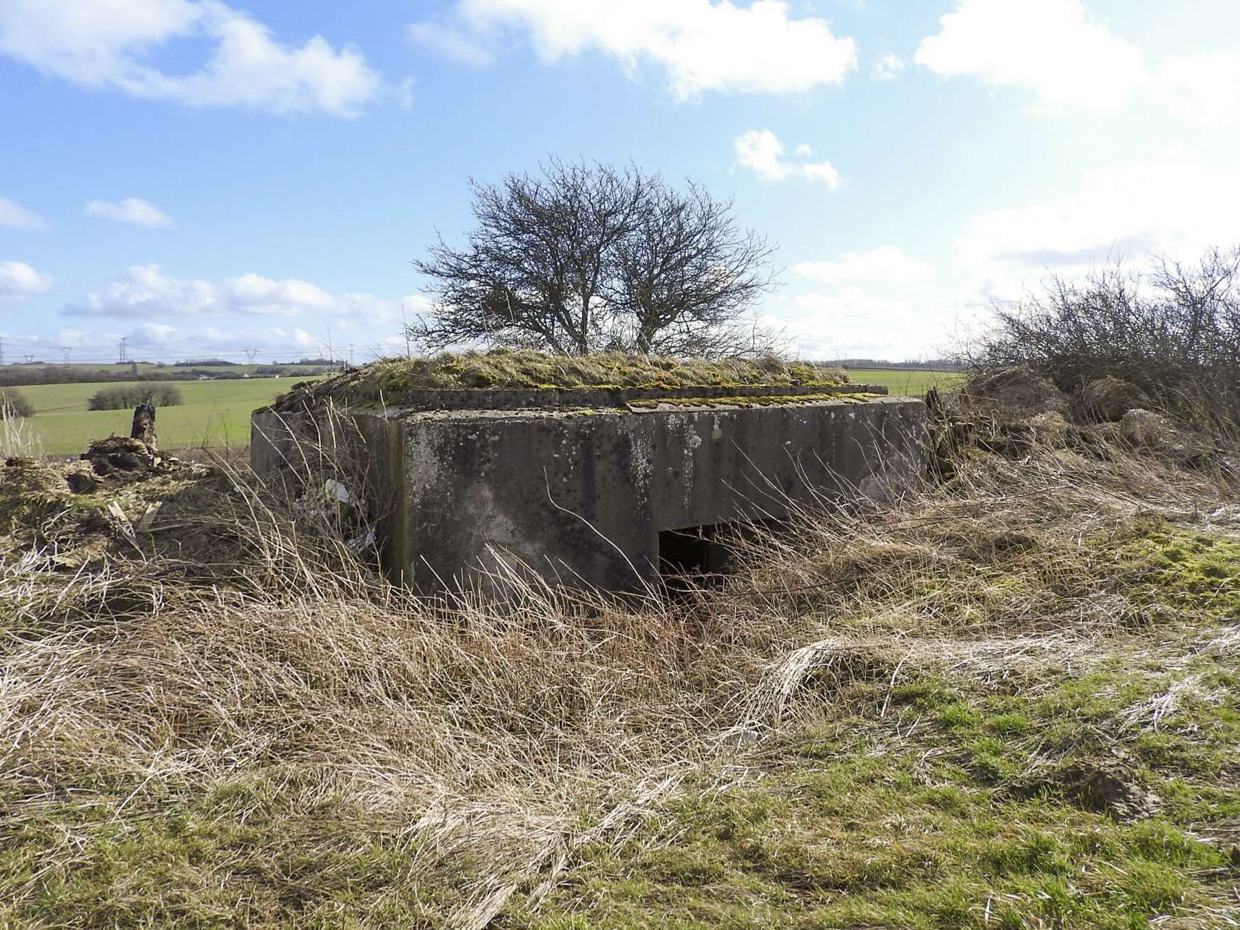Ligne Maginot - AB18 - (Blockhaus pour canon) - La façade arrière avec son entrée.