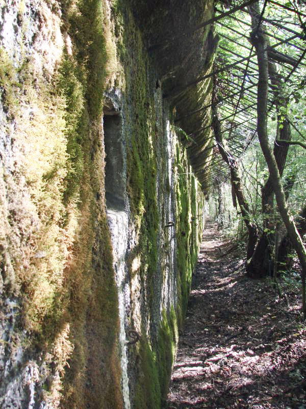Ligne Maginot - KOENIGSMACKER (FESTE DE) - (Ouvrage d'artillerie) - Mur d'escarpe