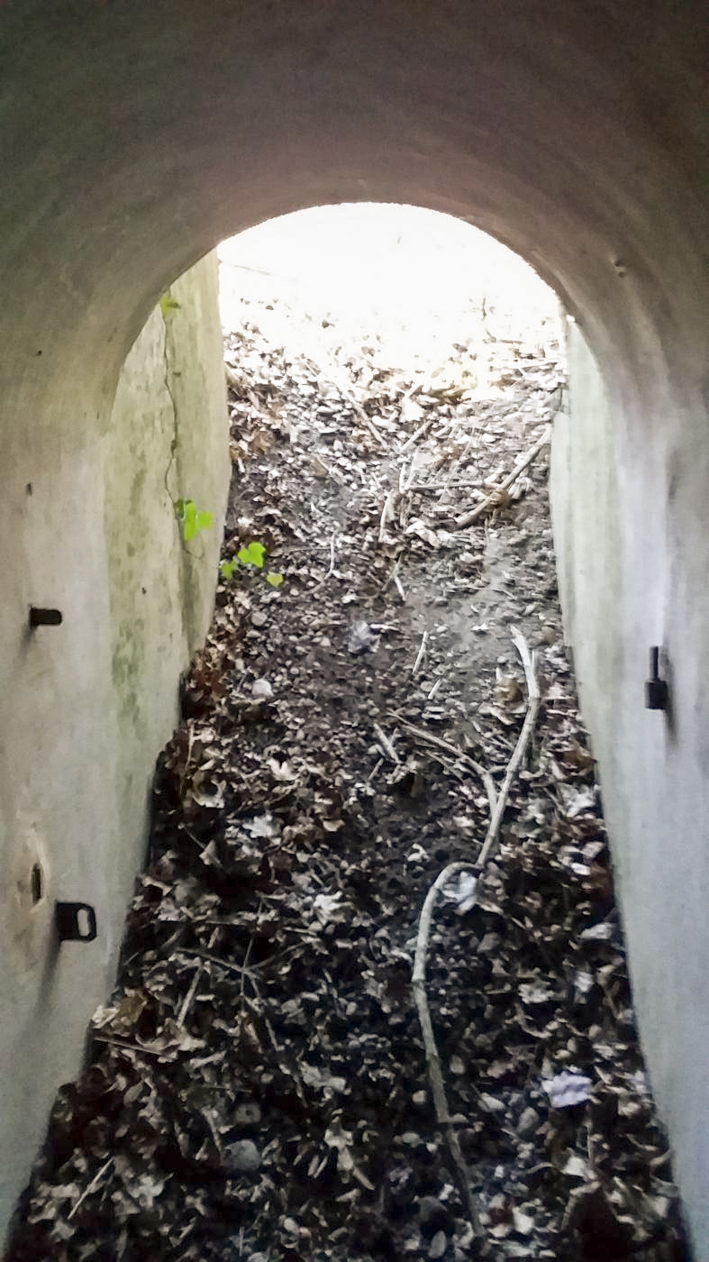 Ligne Maginot - KOENIGSWEG 1 - (Blockhaus pour arme infanterie) - 