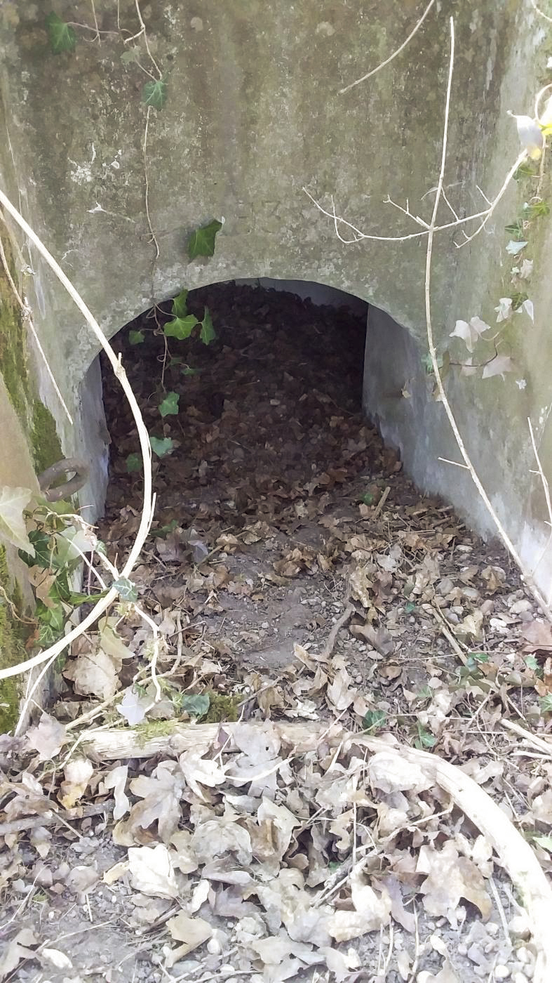 Ligne Maginot - KOENIGSWEG 2 - (Blockhaus pour arme infanterie) -  - Joel Muntzinger