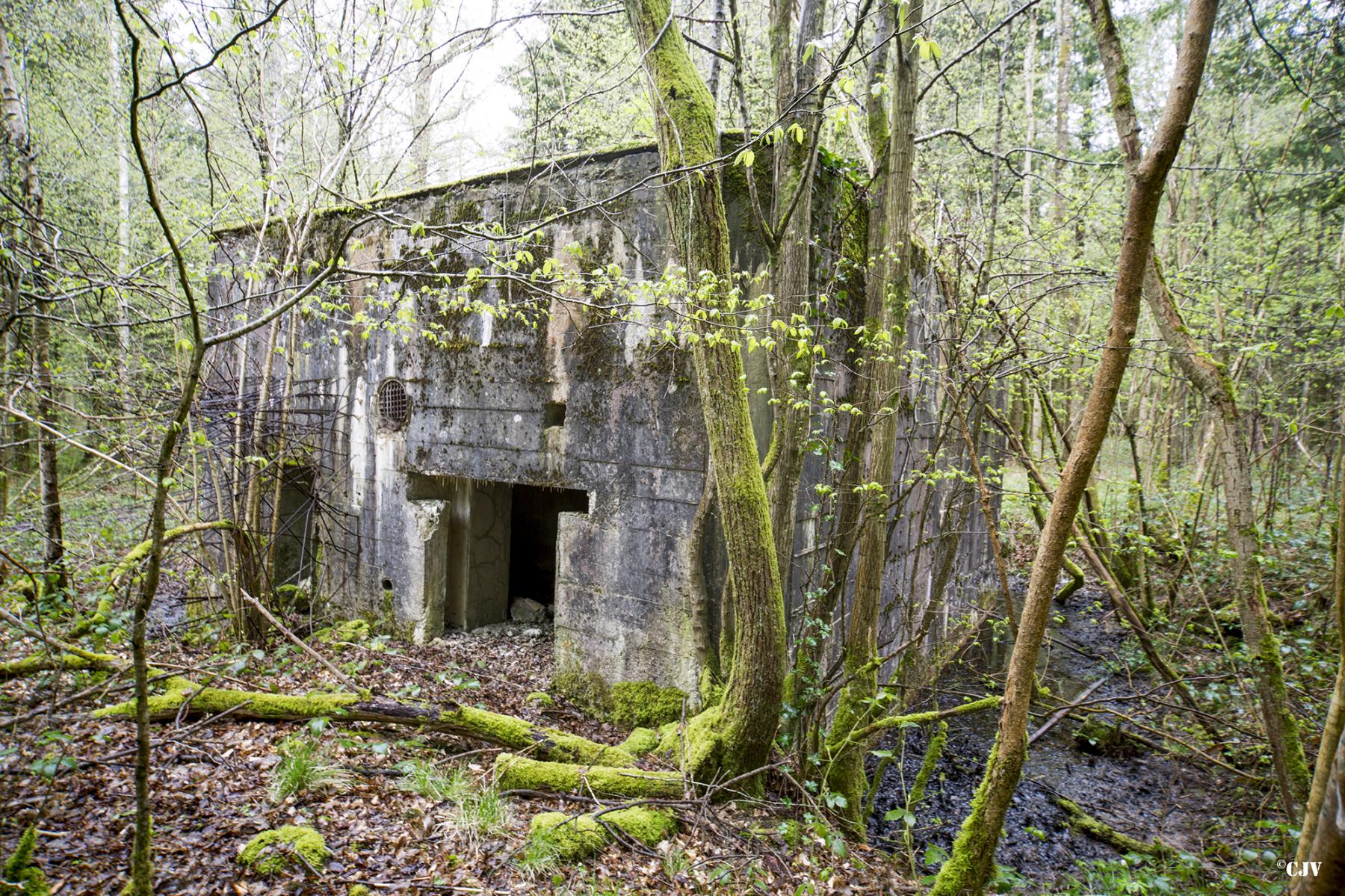 Ligne Maginot - A17 - LE CHARRETIER - (Blockhaus pour canon) - 