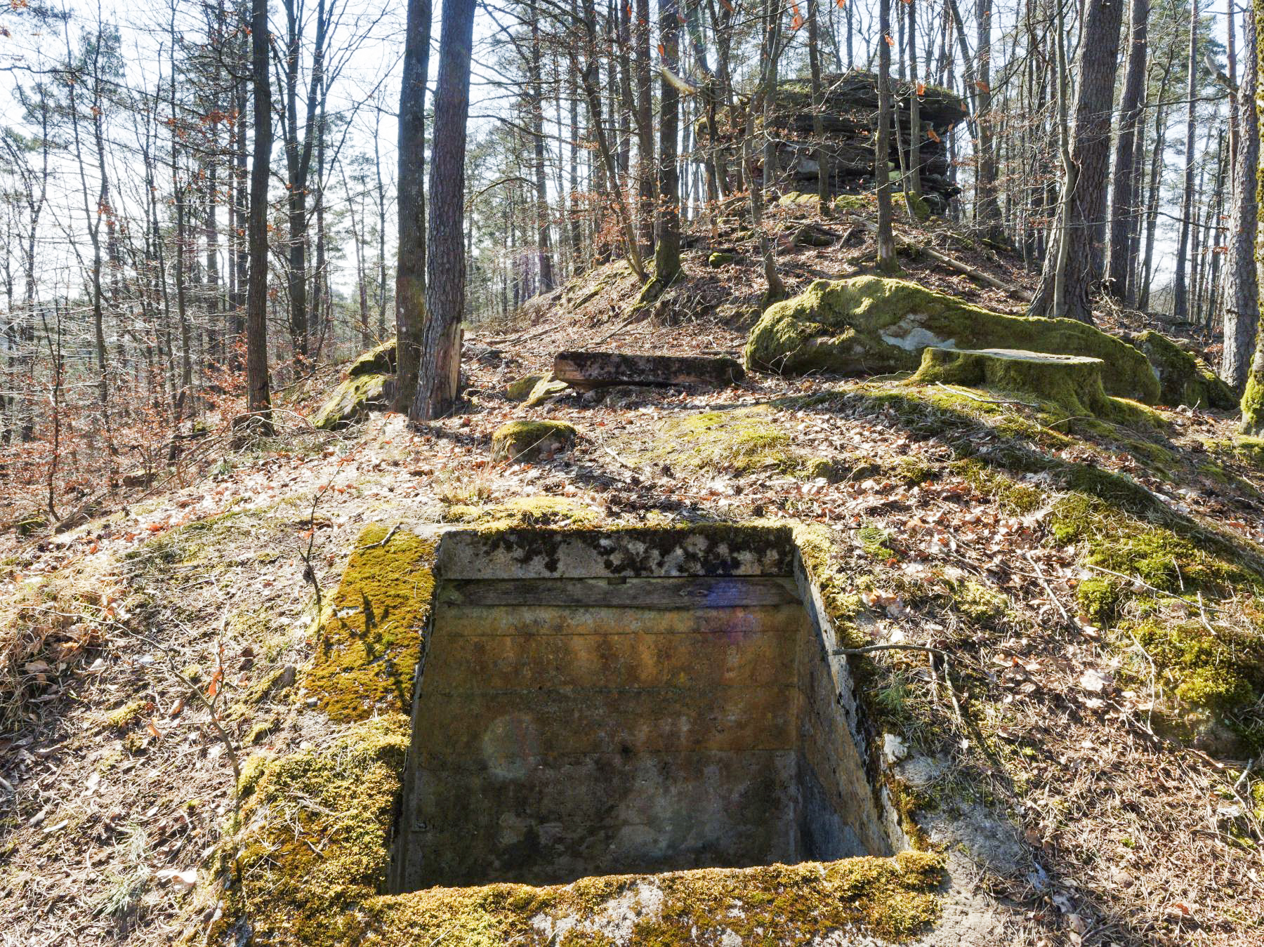 Ligne Maginot - BIESENBERG - OBS AVANCé - (Observatoire d'artillerie) - L'observatoire
Le rocher sommital est visible en arrière plan