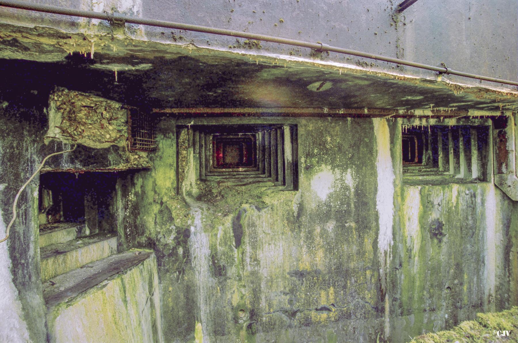 Ligne Maginot - ANZELING - A25 - (Ouvrage d'artillerie) - Bloc 1