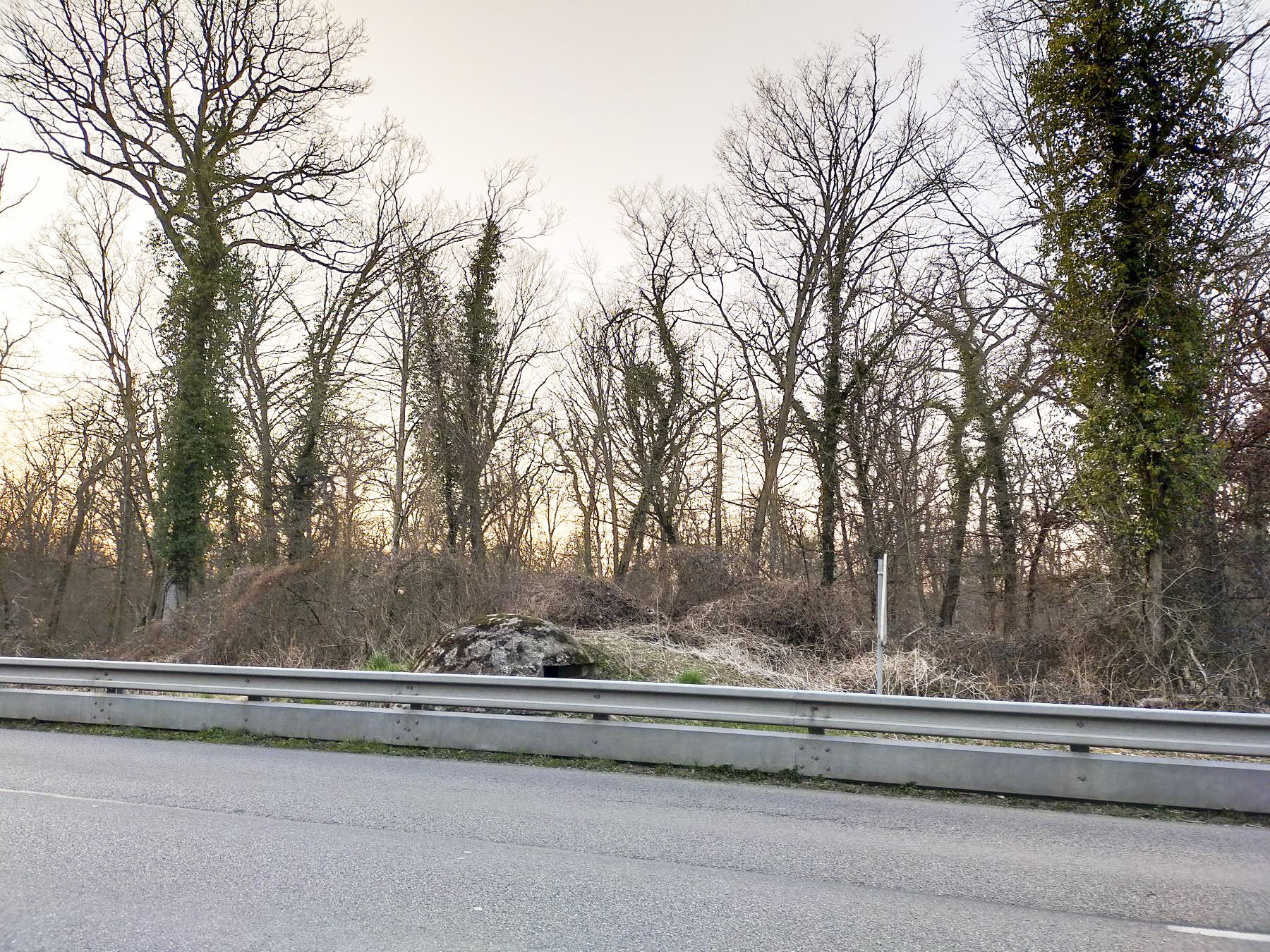 Ligne Maginot - PA DU CARREFOUR 252-2 - (Blockhaus pour arme infanterie) - Depuis l'autre côté de la route.