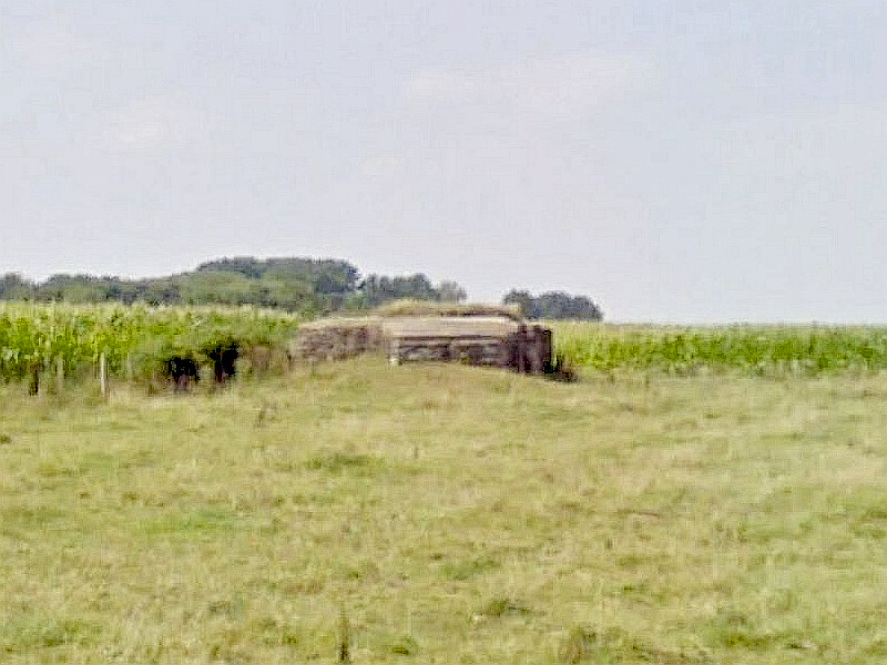 Ligne Maginot - BEF 741 - LES OBLARDS NORD - (Blockhaus pour arme infanterie) - 