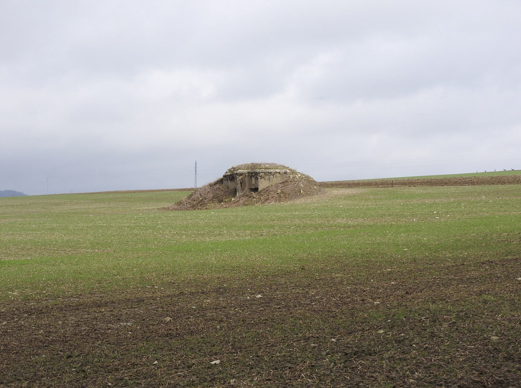 Ligne Maginot - BB23 - (Blockhaus pour canon) - Le blockhaus dans son environnement.