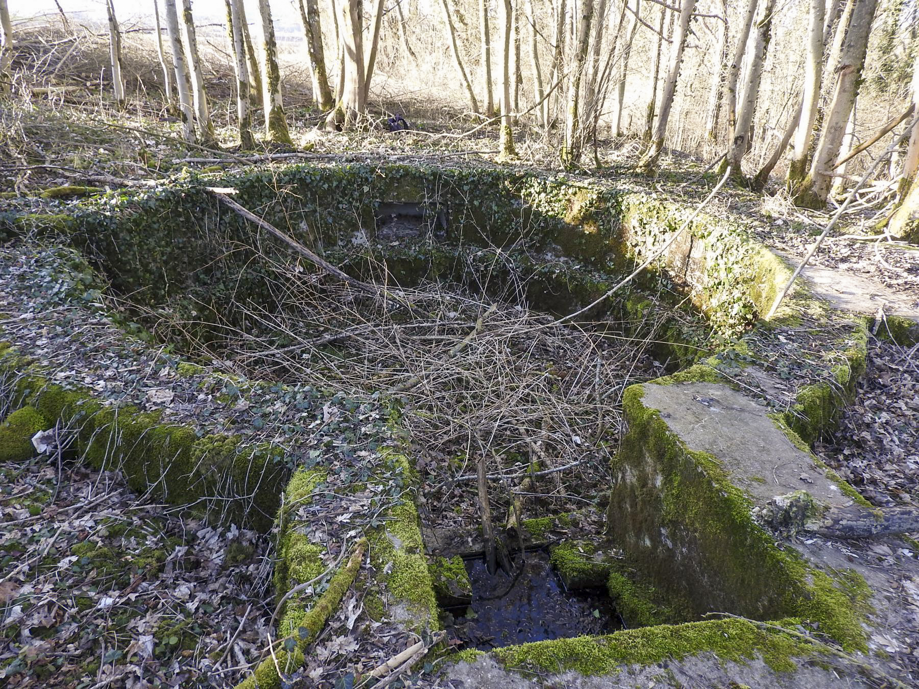 Ligne Maginot - BC1 - HOCHGERICHT - (Cuve pour canon) - L'état de la cuve en 2022.