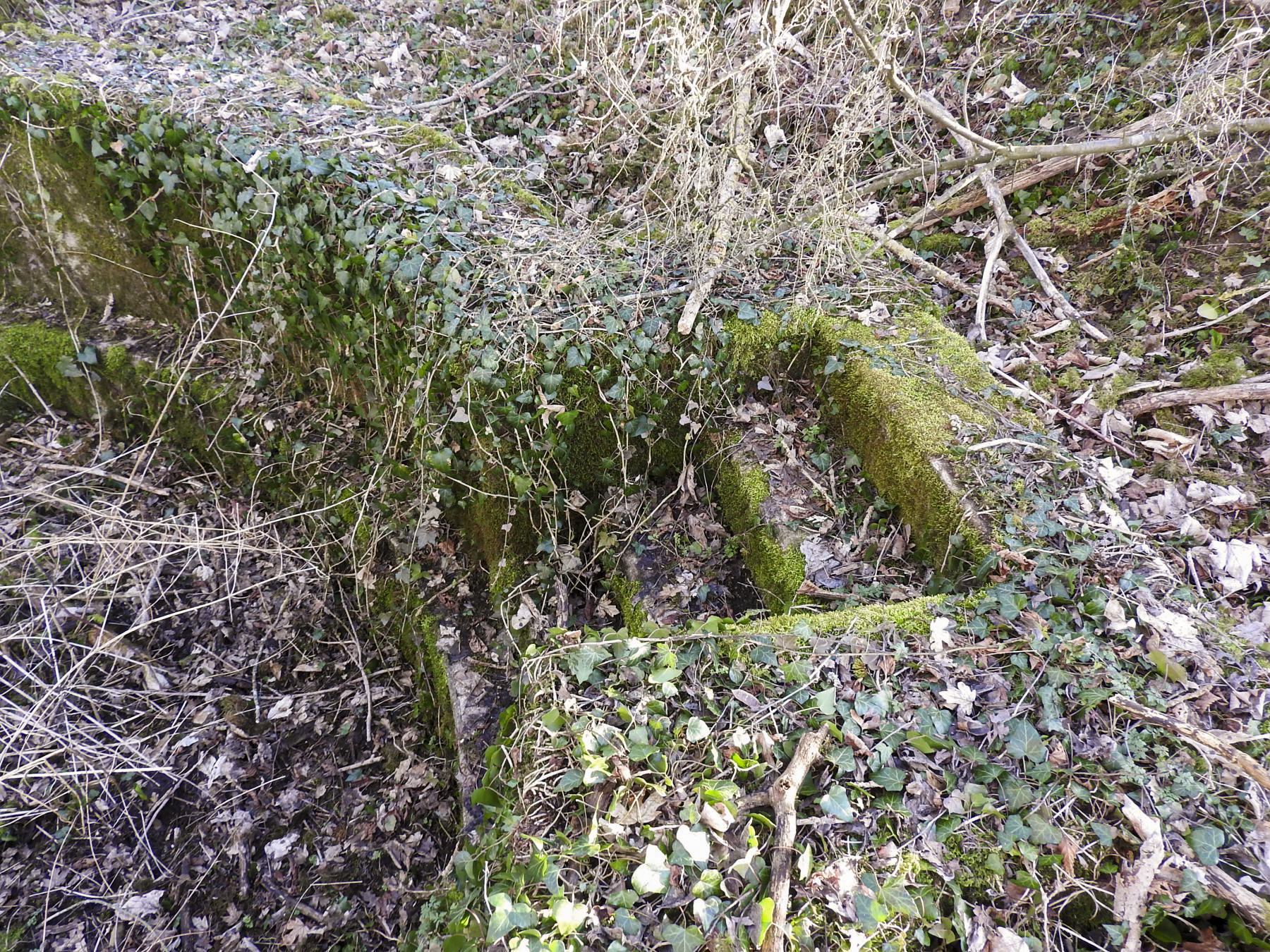 Ligne Maginot - BC1 - HOCHGERICHT - (Cuve pour canon) - L'escalier d'accès à la cuve.