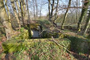 Ligne Maginot - SCHLOSSWALD 1 - (Blockhaus pour arme infanterie) - 