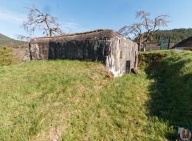 Ligne Maginot - DAMBACH - LA CHAPELLE SUD - (Blockhaus pour canon) - 