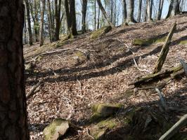 Ligne Maginot - OBSERVATOIRE - MAIMONT - (Observatoire d'artillerie) - Planum d'une caserne