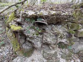 Ligne Maginot - VERLORENERBACH - (Blockhaus pour arme infanterie) - Détail renforcement du créneau principal par des IPN dans la dalle