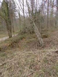 Ligne Maginot - SAUER (III°BON - 165°RIF) - (PC de Quartier) - Trace de l'emplacement des 3 cahutes installées à proximité