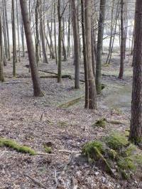 Ligne Maginot - KINDELBERG (QUARTIER CAMP - III/37° RIF) - (Abri) - Sortie de l'égout vers la route