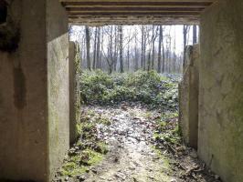 Ligne Maginot - A26-A - FONTAINE OUEST - (Blockhaus pour canon) - 
