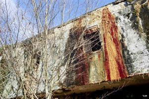 Ligne Maginot - DONAU - (Abri) - 